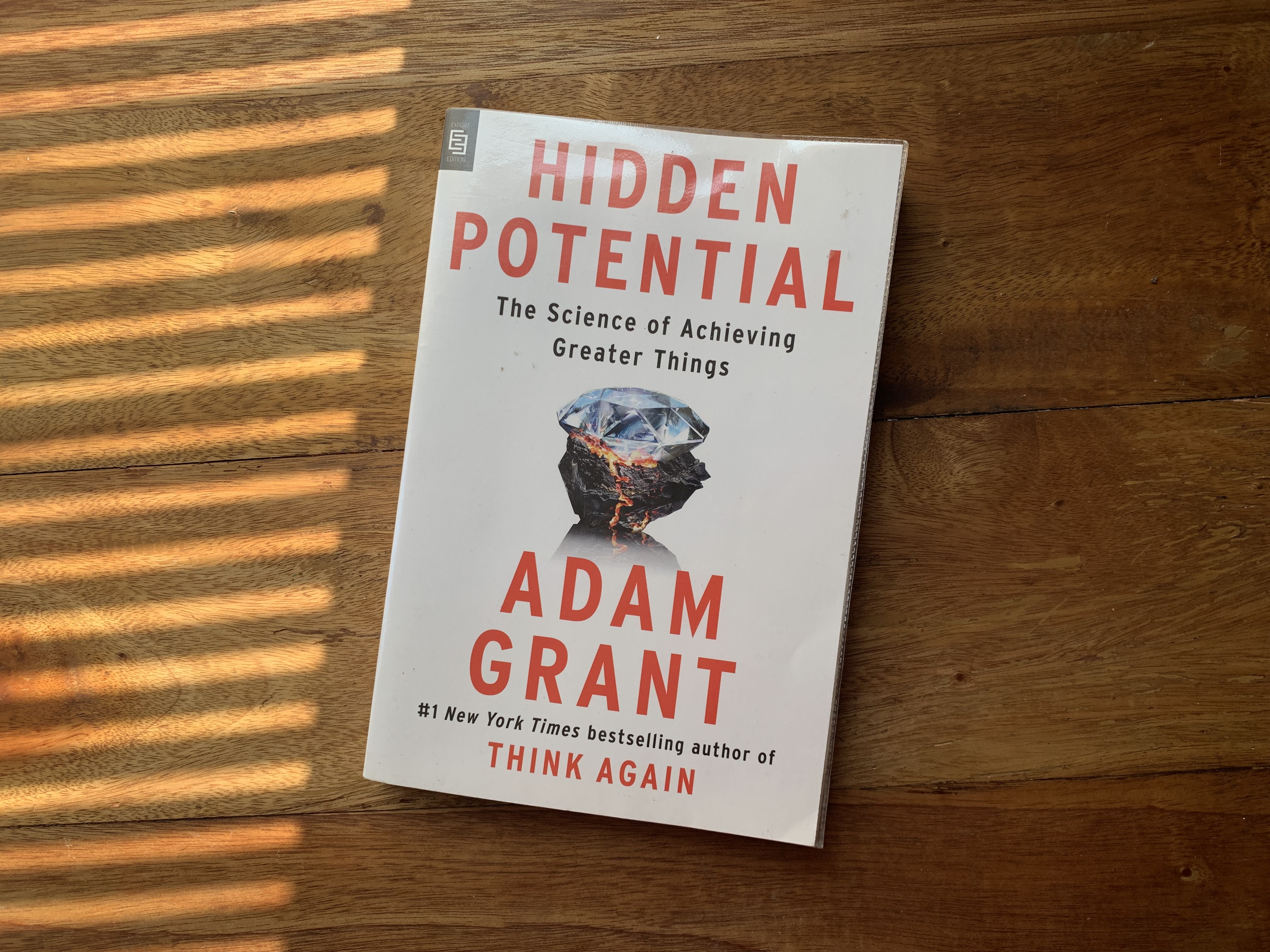 image of 3 Karakter Kunci dari buku Hidden Potential untuk Memaksimalkan Potensi Diri